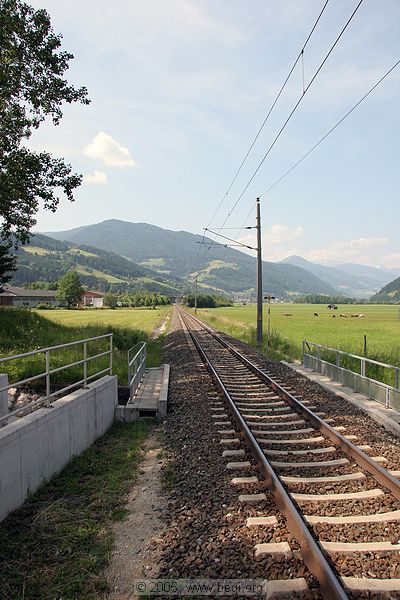 050625-101428_033_std.jpg