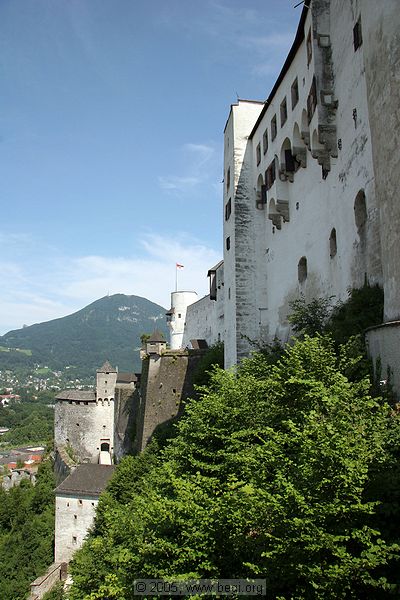 050625-153938_061_std.jpg